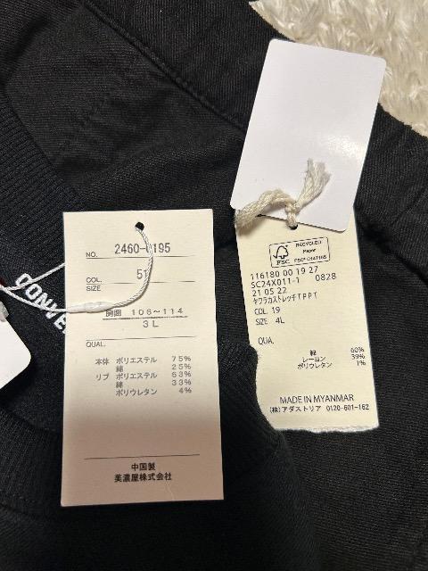 �V�i�^�O�t��CONVERSE�L���E�g���[�i�[& studio  CLIP���炩�X�g���b�`�p���c �� �u�����h�� 