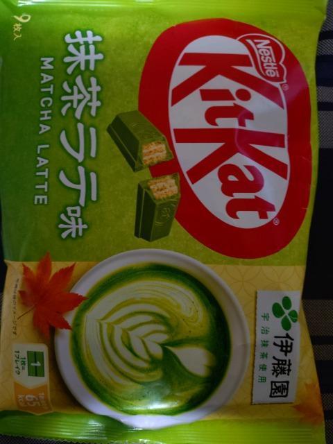 �L�b�g�J�b�g�������e  �� �O����/�h�����N�� 