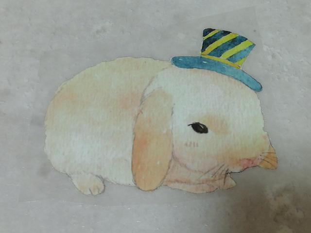 新品 うさぎ パッチワーク ホーランドロップ ラビット バニー た < ペット/手芸/園芸  新品 うさぎ パッチワーク ホーランドロップ ラビット バニー た  < ペット/手芸/園芸の