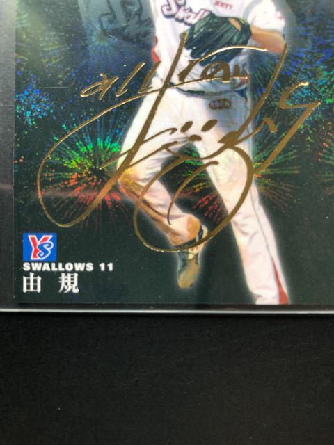 QOPQJr[/PeTCpS-PTERK  g[fBOJ[h 