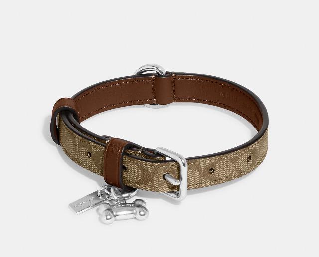 【COACH】コーチ/正規品★犬用(首輪)『小型犬(首輪)  Sサイズ』箱入り(新品) < ブランド  【COACH】コーチ/正規品★犬用(首輪)『小型犬(首輪)  Sサイズ』箱入り(新品) < ブランドの
