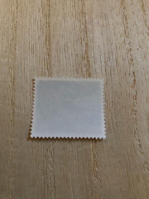 �y�z�ʑ����z�ӂ邳�Ɛ؎�s���䌧�t�C��̏����@1994�N�@�|�C���g������