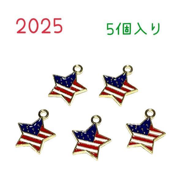 2025 アメリカ国旗デザイン 星形チャーム 5個入り < ペット/手芸/園芸 2025 アメリカ国旗デザイン 星形チャーム 5個入り < ペット/手芸/園芸の