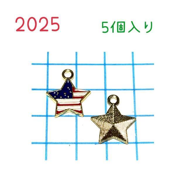 2025 アメリカ国旗デザイン 星形チャーム 5個入り < ペット/手芸/園芸 2025 アメリカ国旗デザイン 星形チャーム 5個入り < ペット/手芸/園芸の