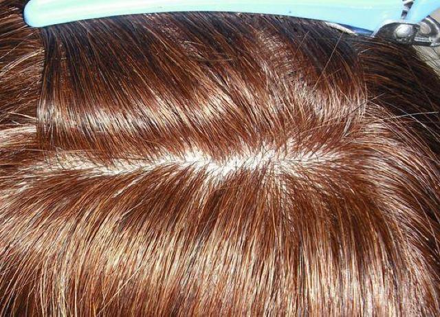 �l�� ���ɋ����@�����J�o�[�@�傫�ڃT�C�Y�@�@�����O�@��������߃u���E�� �� �����t�@�b�V������ 