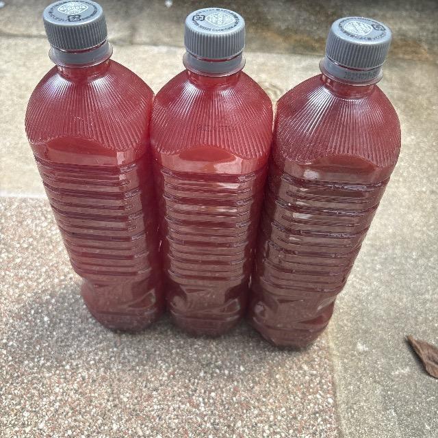 PSB光合成細菌900ml 3本セット < ペット/手芸/園芸 PSB光合成細菌900ml 3本セット < ペット/手芸/園芸の