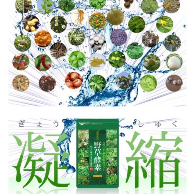 野草酵素 野菜酵素 サプリメント約3ヵ月分 やさい酵素 美容 ダイエット ビタミン 健康食品 < グルメ/ドリンク 野草酵素 野菜酵素 サプリメント約3ヵ月分 やさい酵素 美容 ダイエット ビタミン 健康食品 < グルメ/ドリンクの