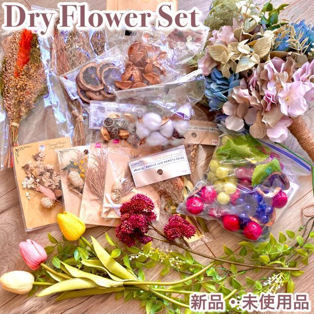 ハンドメイド ドライフラワー ブリザーブドフラワー バースデー 撮影 スタジオ < ペット/手芸/園芸 ハンドメイド ドライフラワー ブリザーブドフラワー バースデー 撮影 スタジオ < ペット/手芸/園芸の