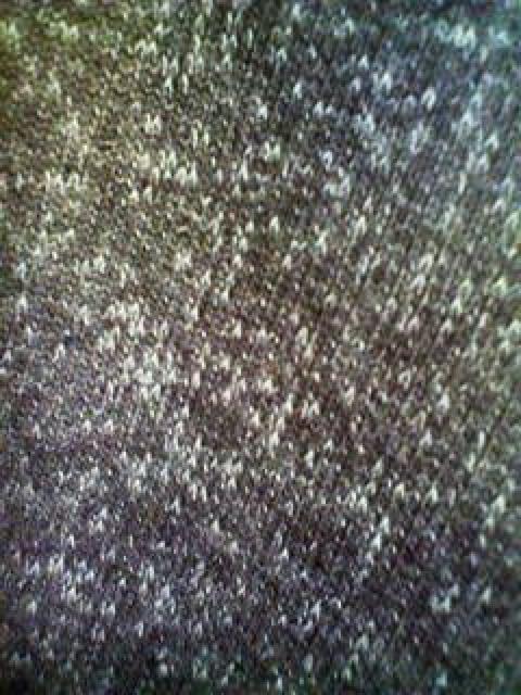A[581Vinudie JeAns co p[J[ uEM  jt@bV 