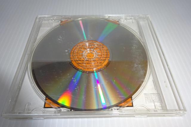 CDVM[IN THE SUMMERTIMEiAՁjQGSHAGGY2270~  CD/DVD/rfI 