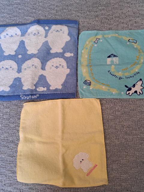 Vigp ~j^I3Zbg   CeA/Ct 