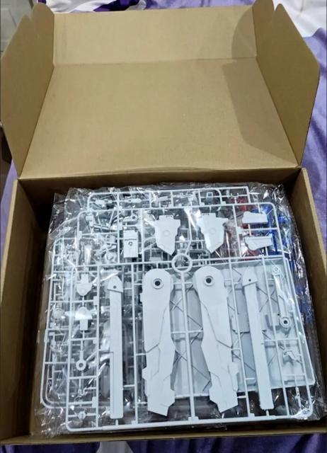 yWUJI MODELz1/100 MG ath-002 `[XgCN (hSRVer.) gvf