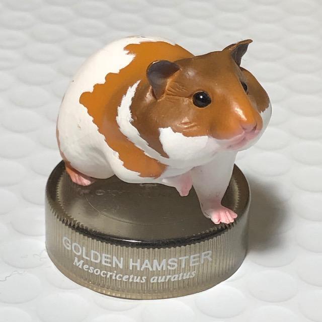 北陸製菓/海洋堂 ハムスターランチ ハムスター フィギュア コレクション < ホビー  北陸製菓/海洋堂 ハムスターランチ ハムスター フィギュア コレクション < ホビーの