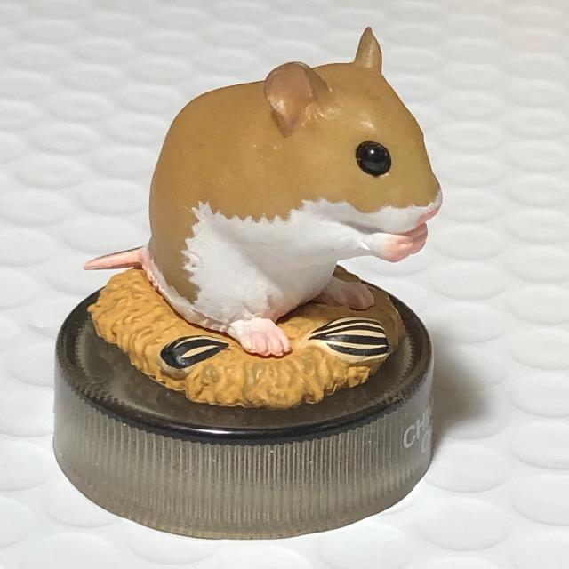 北陸製菓/海洋堂 ハムスターランチ ハムスター フィギュア コレクション < ホビー  北陸製菓/海洋堂 ハムスターランチ ハムスター フィギュア コレクション < ホビーの