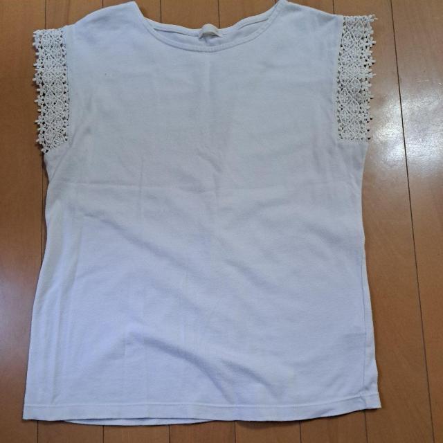 150cm̎q̃gbvX   LbY/xr[ 