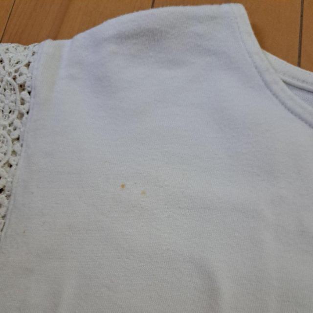 150cm̎q̃gbvX  LbY/xr[ 