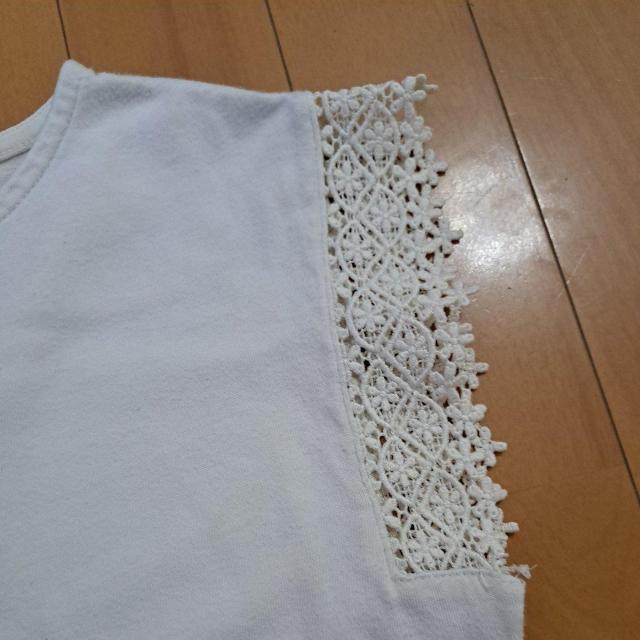 150cm̎q̃gbvX  LbY/xr[ 