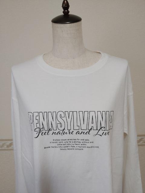 FRAMeWORK t[[Nl􃍃T  iW[iX^_[h AP