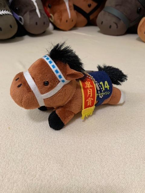 �T���u���b�h�R���N�V���� �� �z�r�[�� 