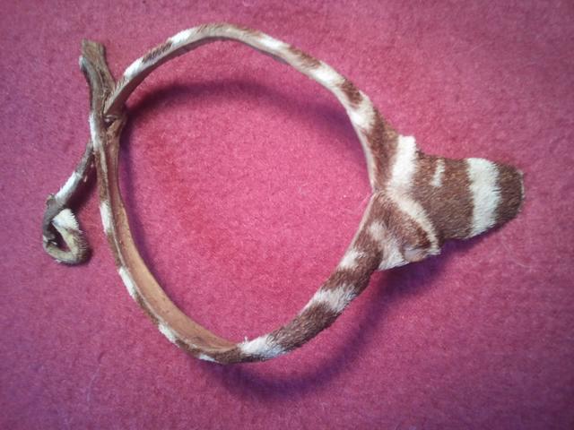 ☆希少アート☆【シマウマの毛皮の腕輪】ブレスレットにも! < ホビー ☆希少アート☆【シマウマの毛皮の腕輪】ブレスレットにも! < ホビーの