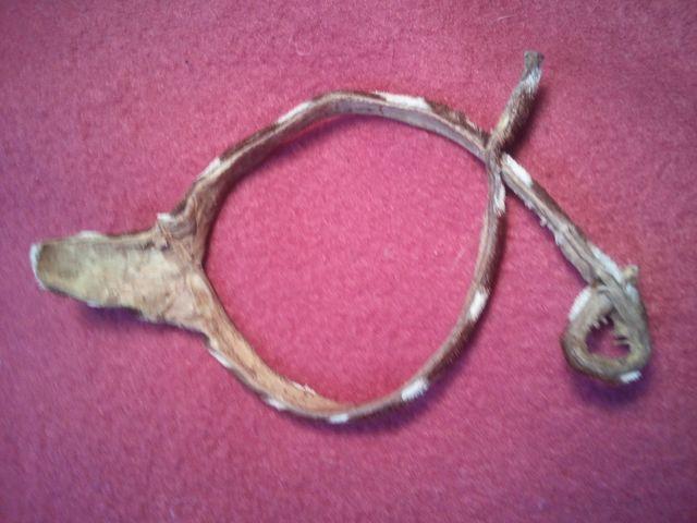 ☆希少アート☆【シマウマの毛皮の腕輪】ブレスレットにも! < ホビー ☆希少アート☆【シマウマの毛皮の腕輪】ブレスレットにも! < ホビーの