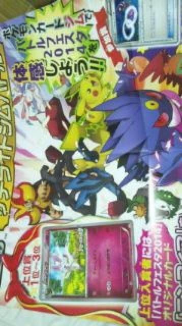 �|�P�����J�[�h�Q�[�� �o�g���t�F�X�^2014��`�|�X�^�[ �j���t�B�A ���K�Q���K�[ �J�G���W�V�� 