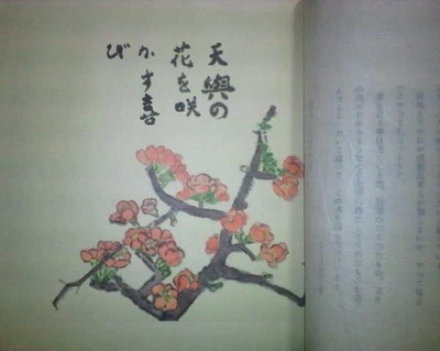 詩画集 武者小路実篤 『自選詩画集』共箱 < 本/雑誌 詩画集 武者小路実篤 『自選詩画集』共箱 < 本/雑誌の