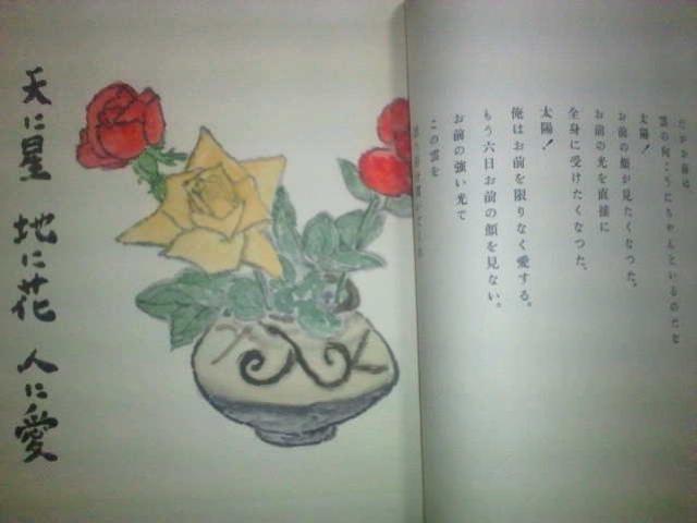 詩画集 武者小路実篤 『自選詩画集』共箱 < 本/雑誌 詩画集 武者小路実篤 『自選詩画集』共箱 < 本/雑誌の