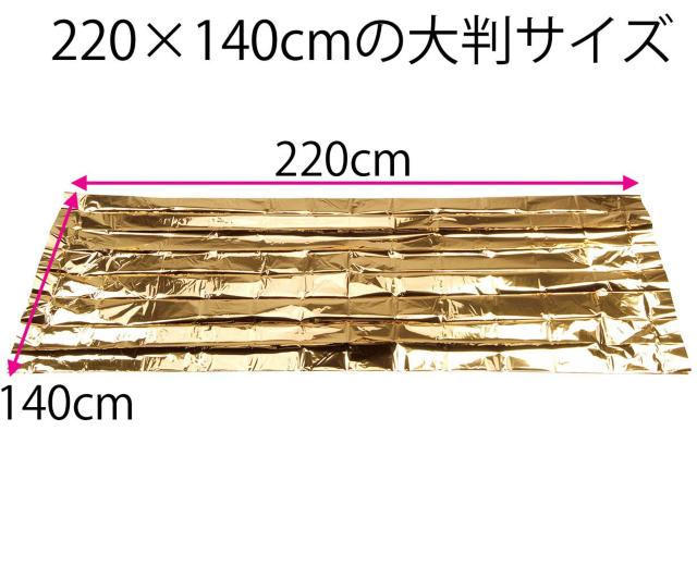 サバイバルシート リバーシブルタイプ < レジャー/スポーツ サバイバルシート リバーシブルタイプ < レジャー/スポーツの