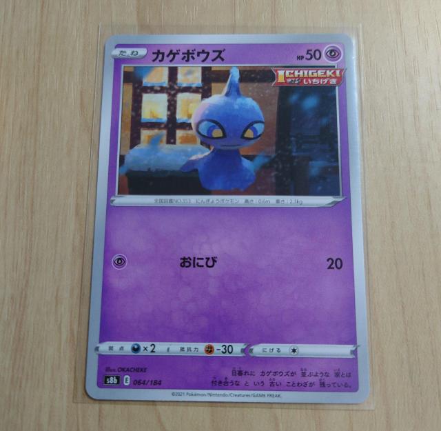 |PJ[h  JQ{EY s8b 064/184 542   g[fBOJ[h 