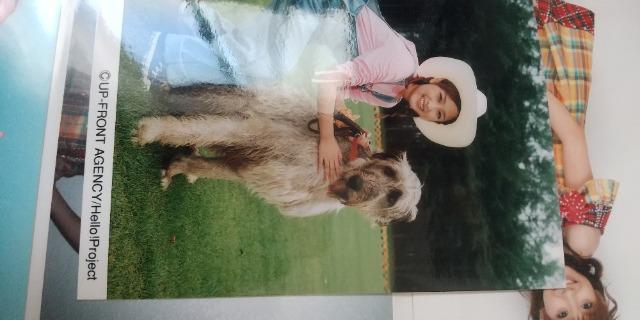 石川梨華公式生写真。 < タレントグッズ  石川梨華公式生写真。  < タレントグッズの