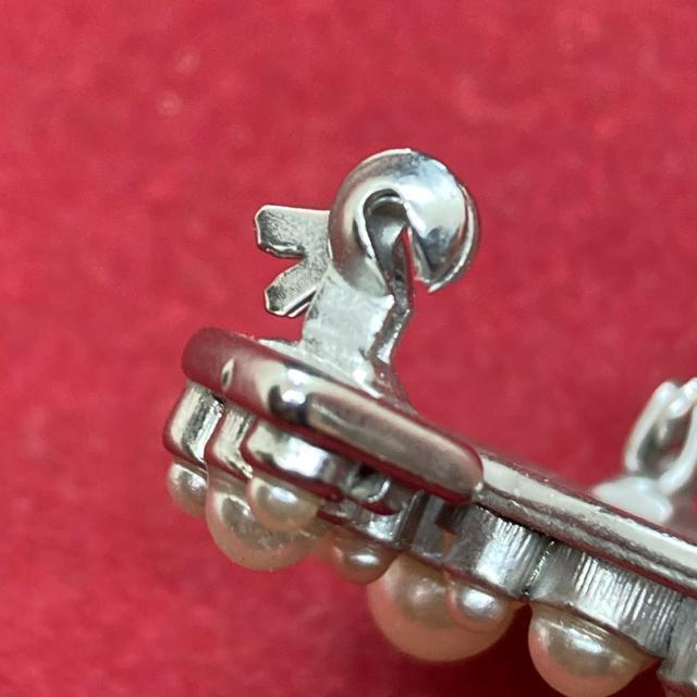 ���K�i �V���l�� CoCo �t�F�C�N�p�[���u���[�` �V���o�[