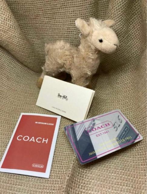 COACH  �R�[�`  C0082  ��܂���z�@���O�W���A���[  �V�O�l�`���[�@PVC  ���U�[  �~�f�B�A���@�R�[�i�[�W�b�v �� �u�����h�� 