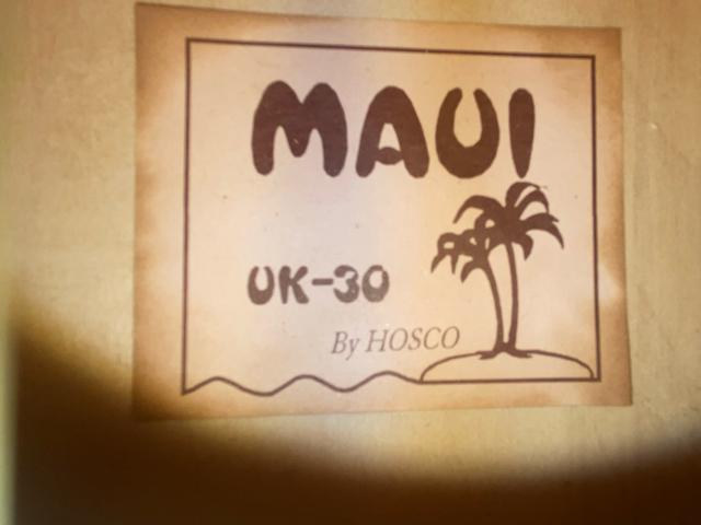 MAUI  EN@UK-30 byHOSCO ܂L@2503-31-2  zr[ 