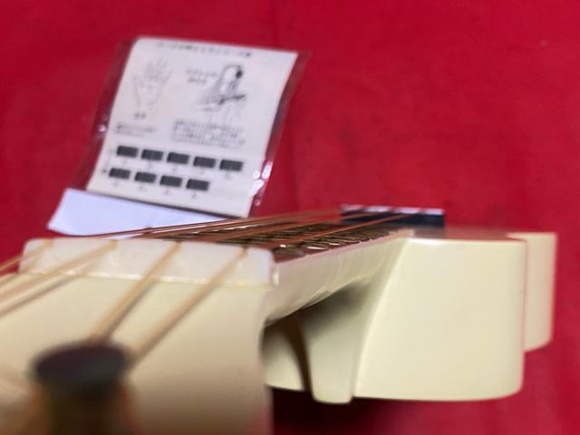 MAUI  EN@UK-30 byHOSCO ܂L@2503-31-2  zr[ 