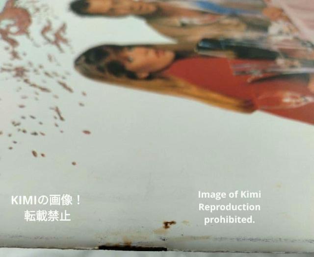 �u���C���h�E�f�[�g Blind Date �f�� �p���t���b�g �{ 1987 �u���[�X �E�B���X Blind Date Movie �� �z�r�[�� 