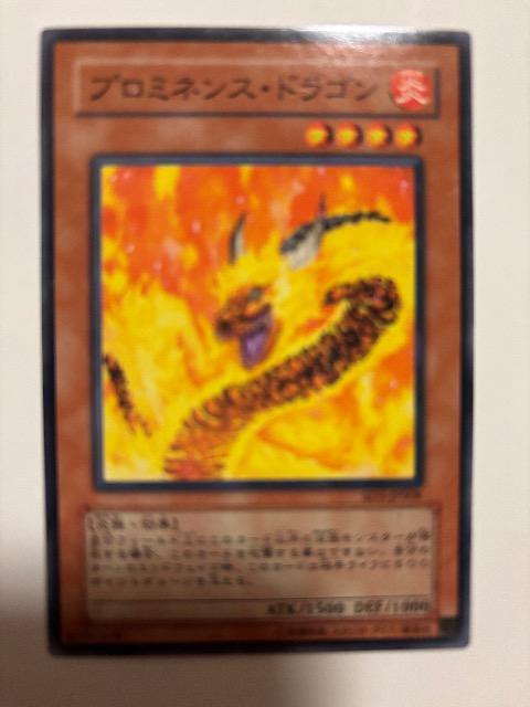 �V�Y���y���E�v���~�l���X�h���S���z  �� �g���[�f�B���O�J�[�h�� 