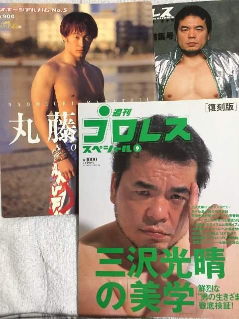 週刊プロレスの特別編の雑誌3冊 < レジャー/スポーツ 週刊プロレスの特別編の雑誌3冊 < レジャー/スポーツの