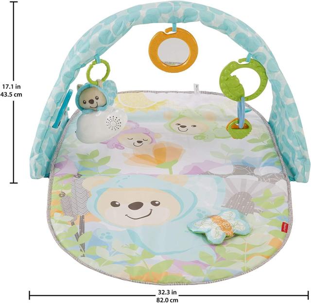 �t�B�b�V���[�v���C�X �X�C�[�g�h���[���E�x�A�E�~���[�W�J���W��