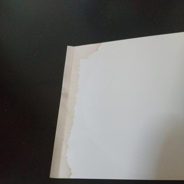 SPEECHwSPEECHxUS-RB SOUL FUNK Xs[` USA  CD/DVD/rfI 