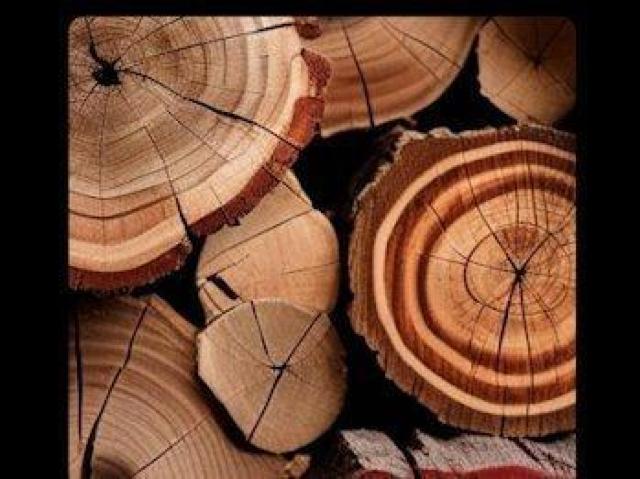 ハイクオリティー Tシャツ木目 ナチュラル シンプル < 男性ファッション ハイクオリティー Tシャツ木目 ナチュラル シンプル < 男性ファッションの