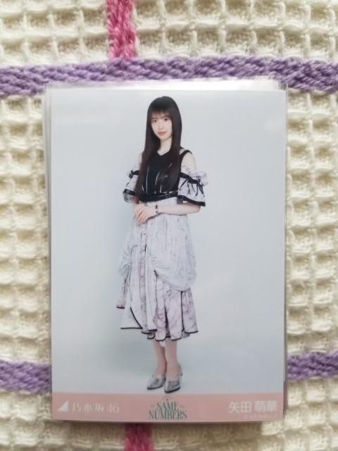 �T�؍�46  ���ʐ^  �܂Ƃ�  �@  �� �^�����g�O�b�Y�� 