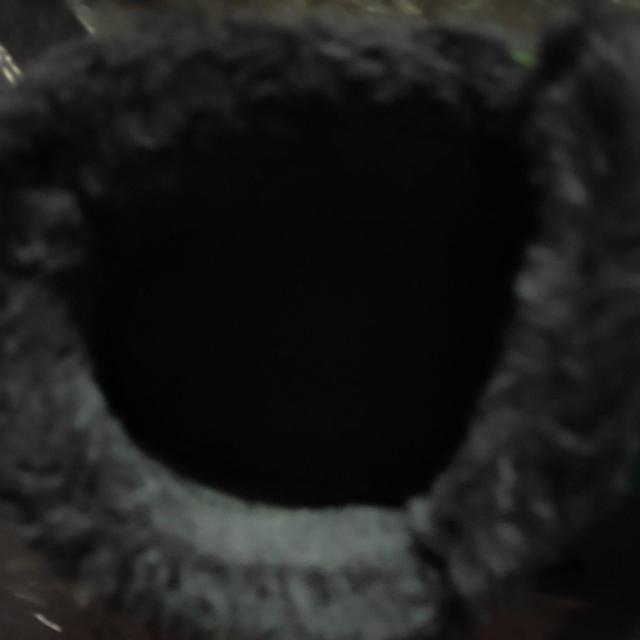 ���f�B�X�A�C �� �����t�@�b�V������ 