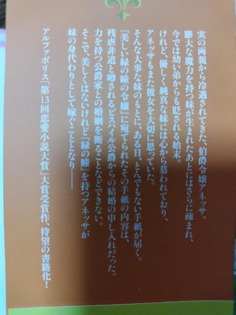 ΂ꂽݗߏA̐gɂcs񓹂ȗ⌌݂̉łƂȂ^ԑ  {/G 