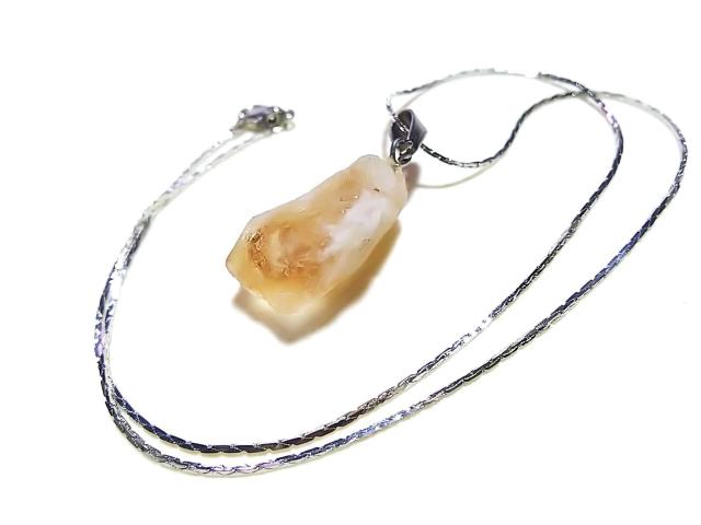 �����ӂ��܊��ӂk�������@�c�������V�R�΁��V�g�����@���΁@�y���_���g  �� �����A�N�Z�T���[/���v�� 