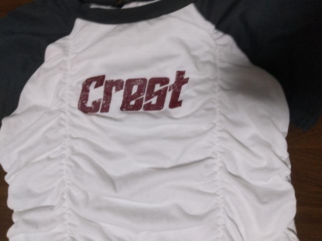 ミニTシャツ★フリーsize★美品です! < 女性ファッション ミニTシャツ★フリーsize★美品です! < 女性ファッションの