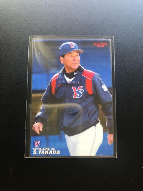 QOPOJr[싅2e/sl-ORENgX[YEcɁmTEAMo[J|hn  g[fBOJ[h 