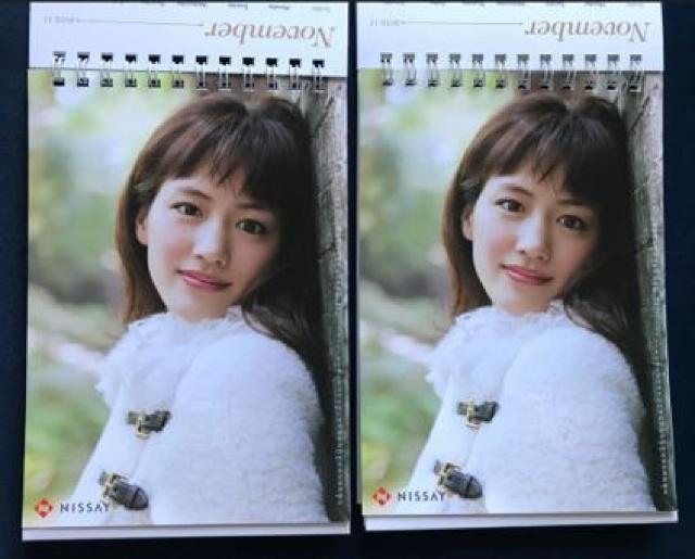 〇 綾瀬はるか 卓上カレンダー「2012年 日本生命」 < タレントグッズ  〇 綾瀬はるか 卓上カレンダー「2012年 日本生命」  < タレントグッズの