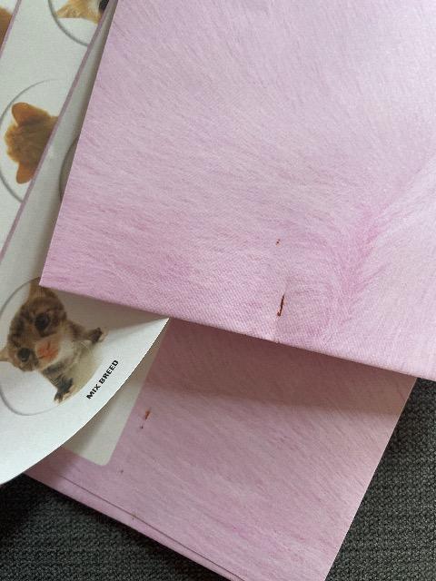 ♯未使用♯レターセット  2点セット  ねこちゃん チェック 2点まとめ売り!!  封筒たくさん < インテリア/ライフ  ♯未使用♯レターセット  2点セット  ねこちゃん チェック 2点まとめ売り!!  封筒たくさん < インテリア/ライフの