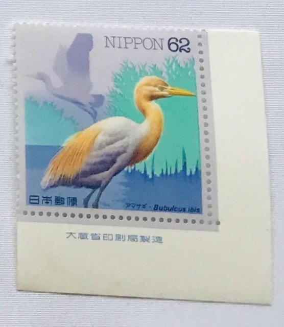 A}TM@Bubulcus ibis 6Q~؎@ŕt 呠Ȉǐ   zr[ 